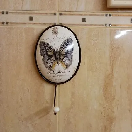 Appartement D'Une Chambre Avec Wifi A Limoux Apartament